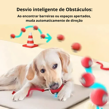 Bola interativa e inteligente para cães e gatos, rolante, automática e elétrica