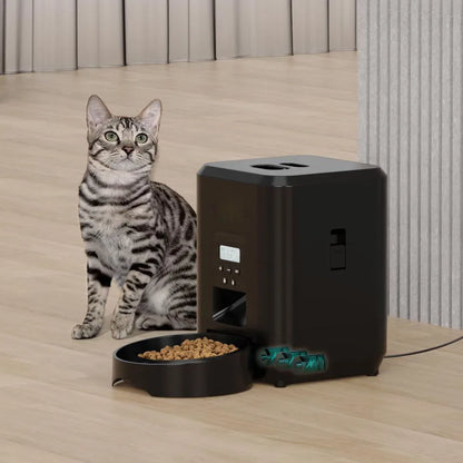 Alimentador automático  para gatos e cães